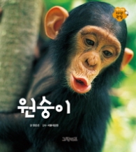 원숭이 (알기 쉬운 자연관찰 6)